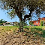 Villino Al Dotto Country House