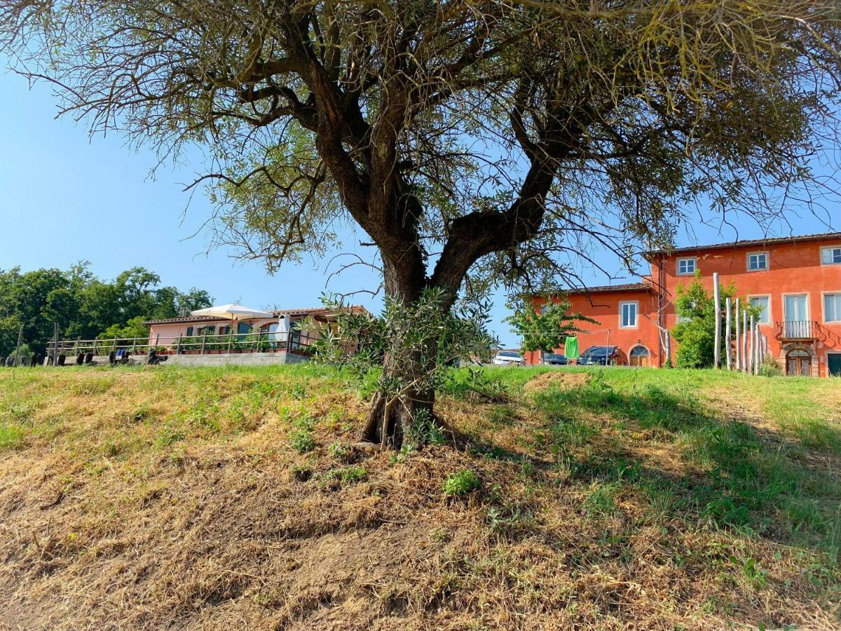 Villino Al Dotto